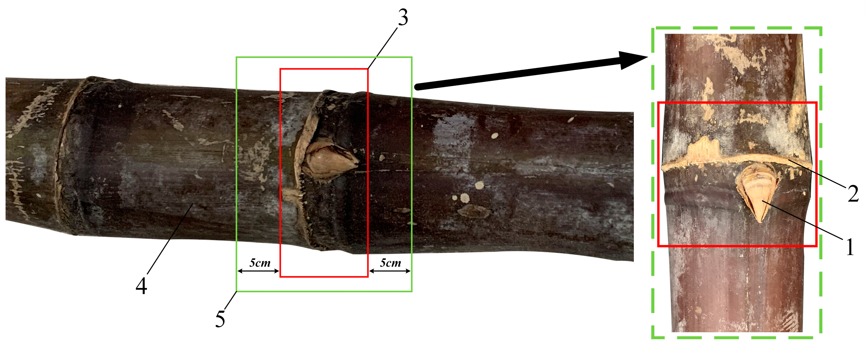 Sensors 22 08430 g001 Sensors 22 08430 g001