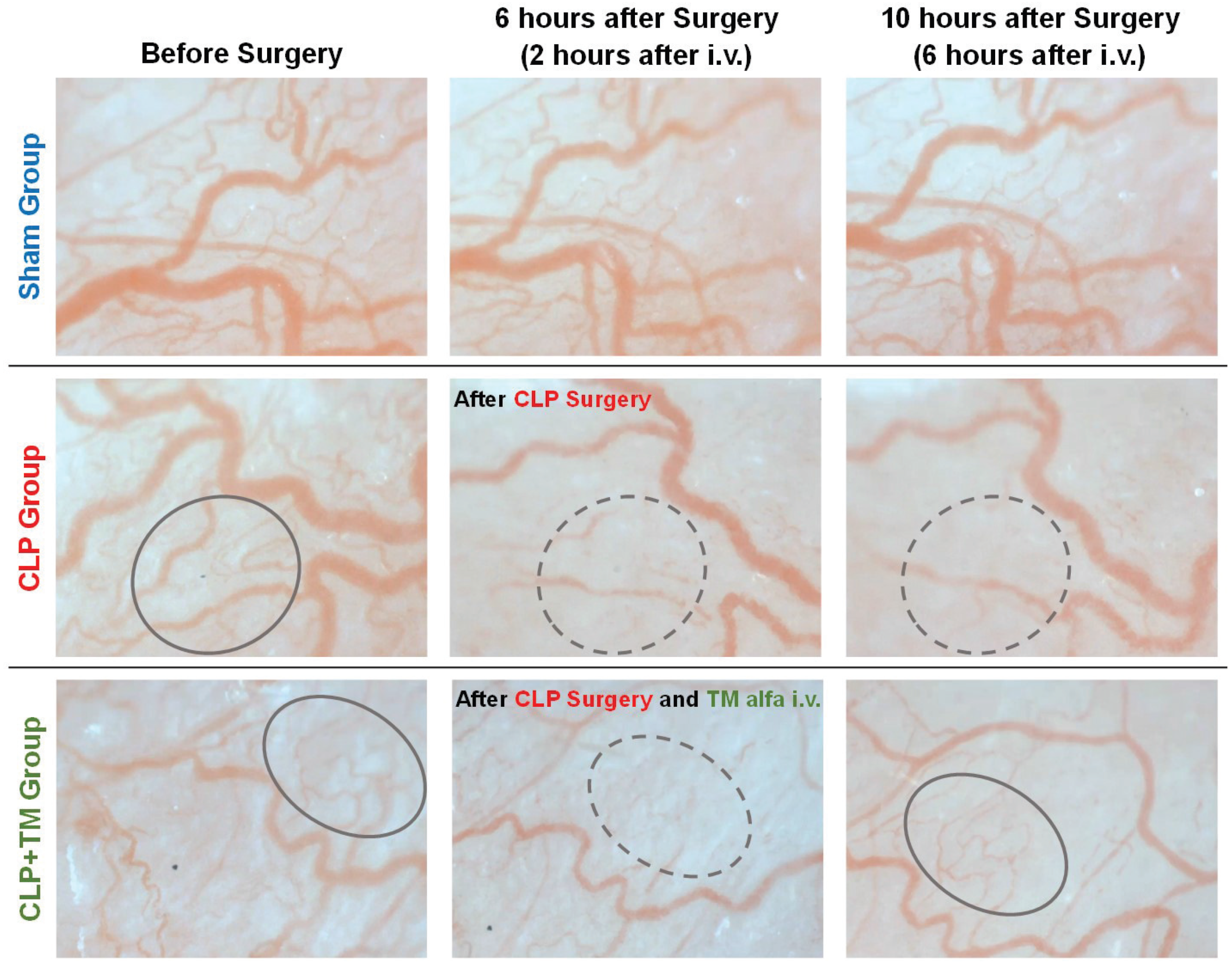 Sensors 22 08471 g010