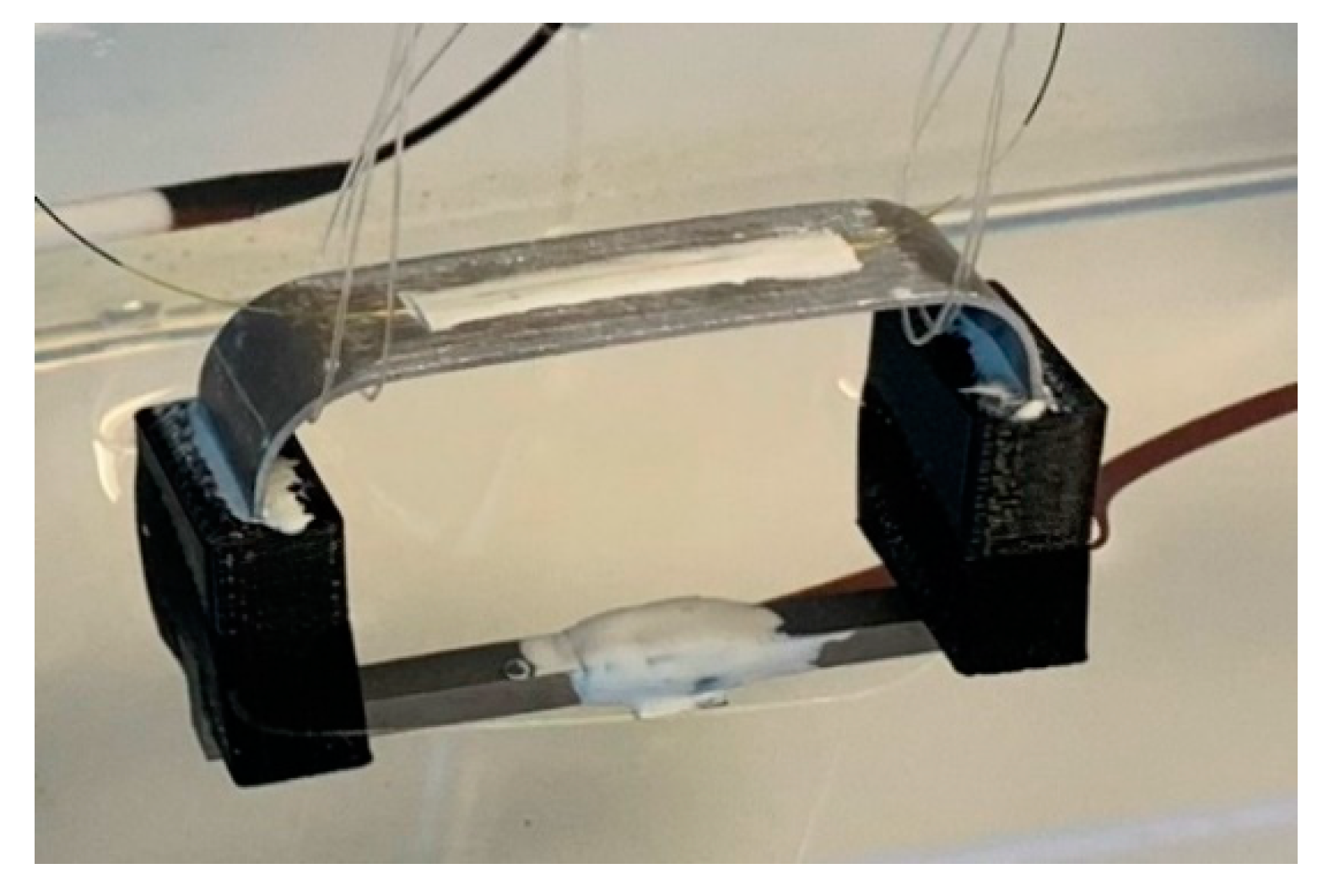 Sensors 22 08489 g008