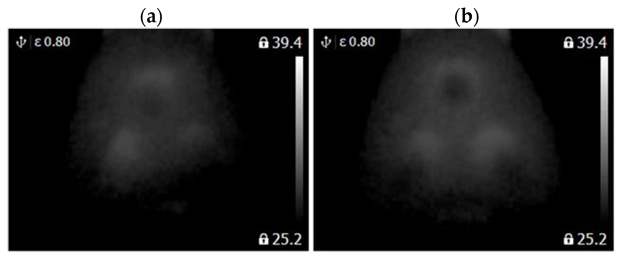 Sensors 22 08537 g010