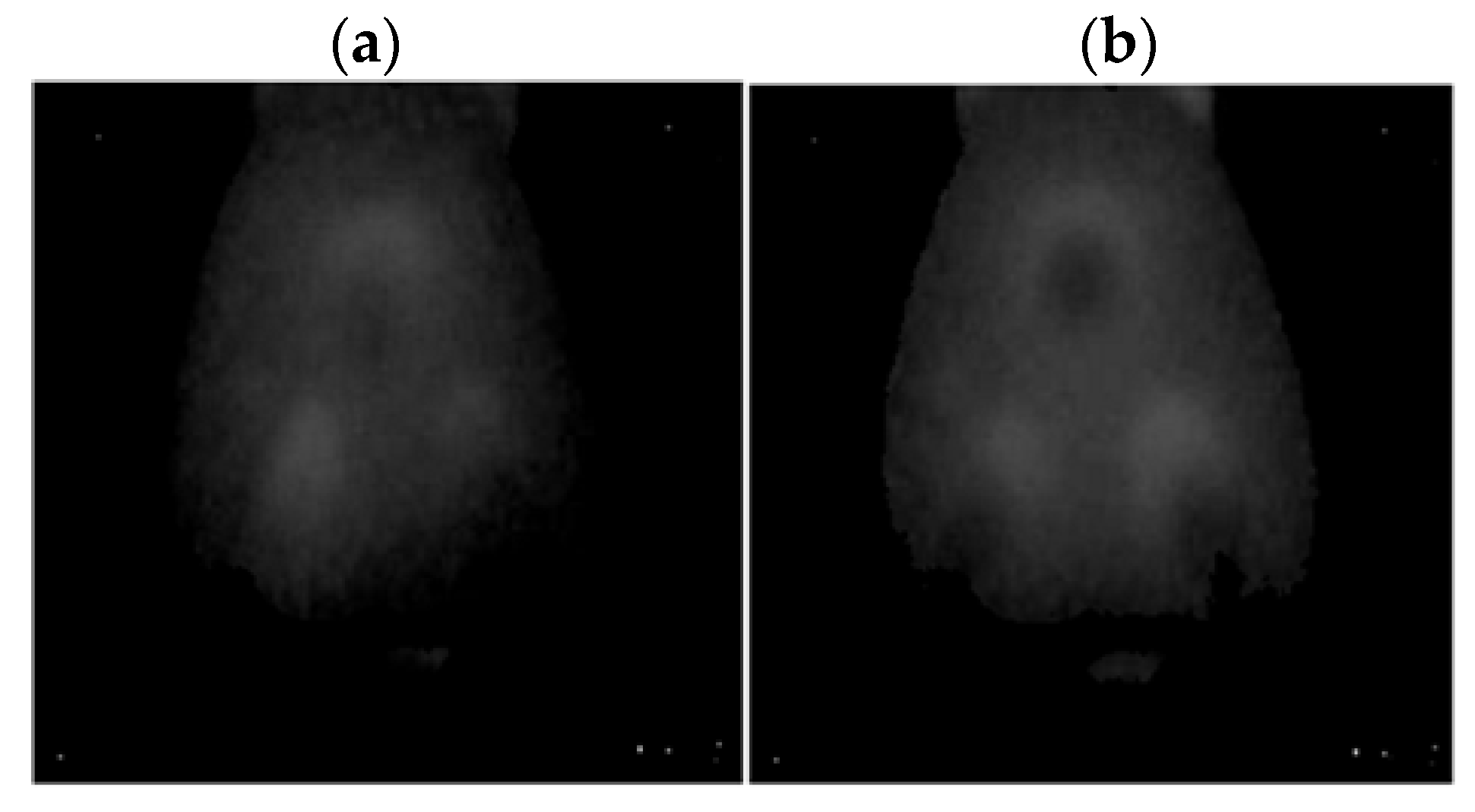 Sensors 22 08537 g018