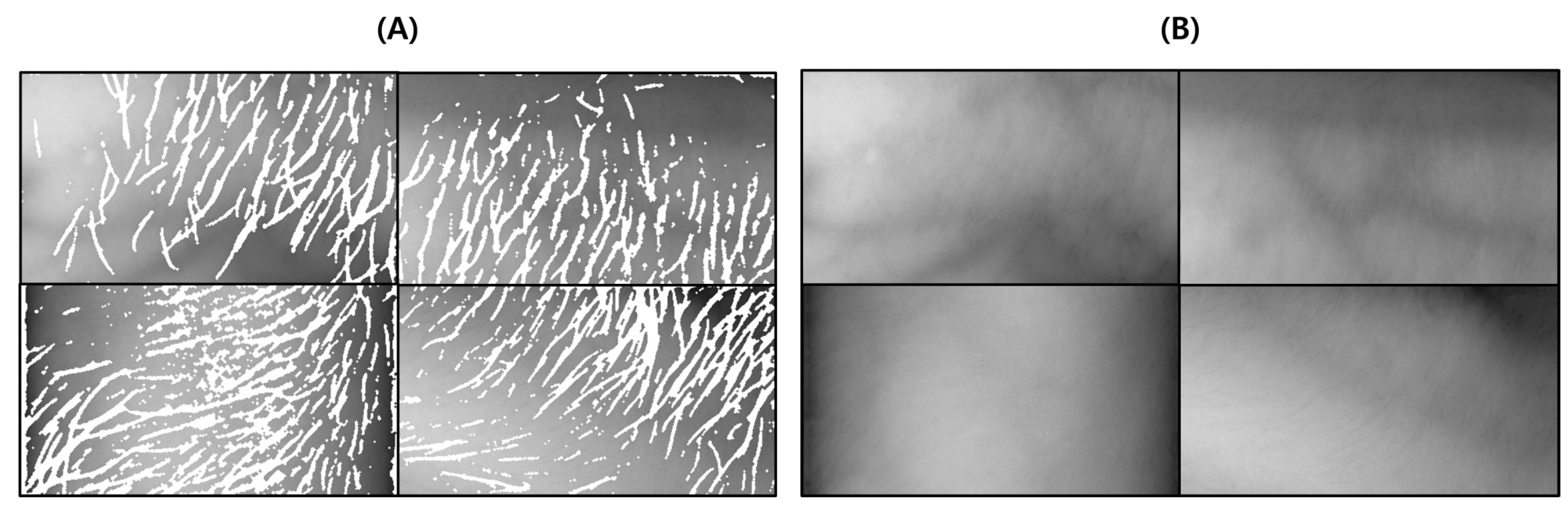 Sensors 22 08559 g003