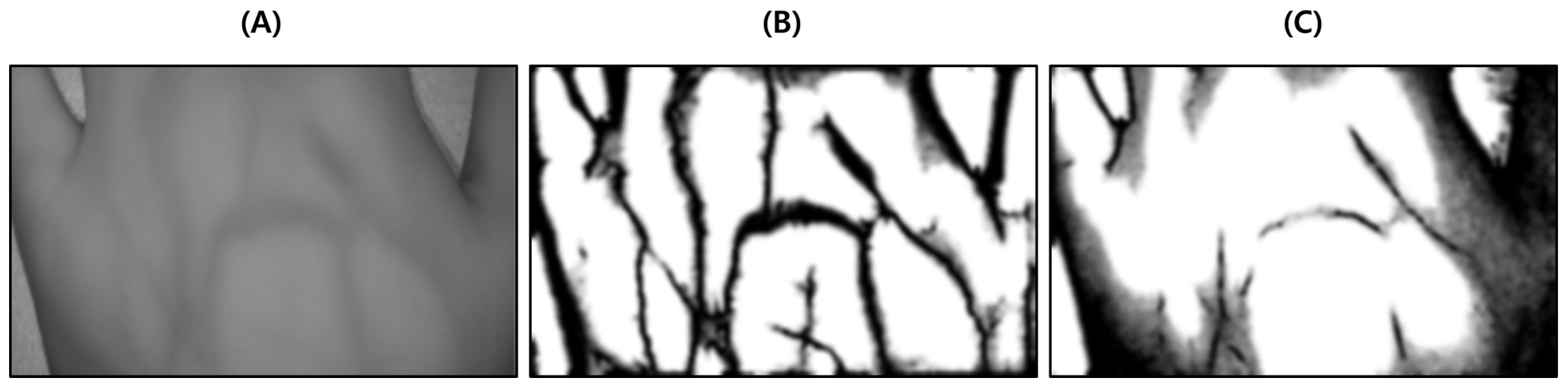 Sensors 22 08559 g009