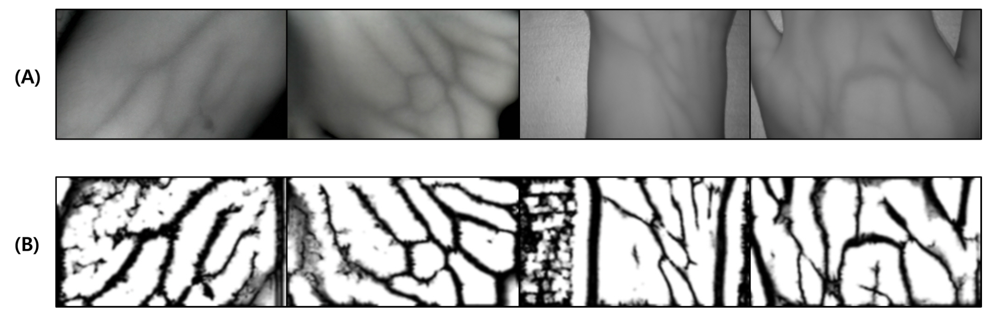 Sensors 22 08559 g013