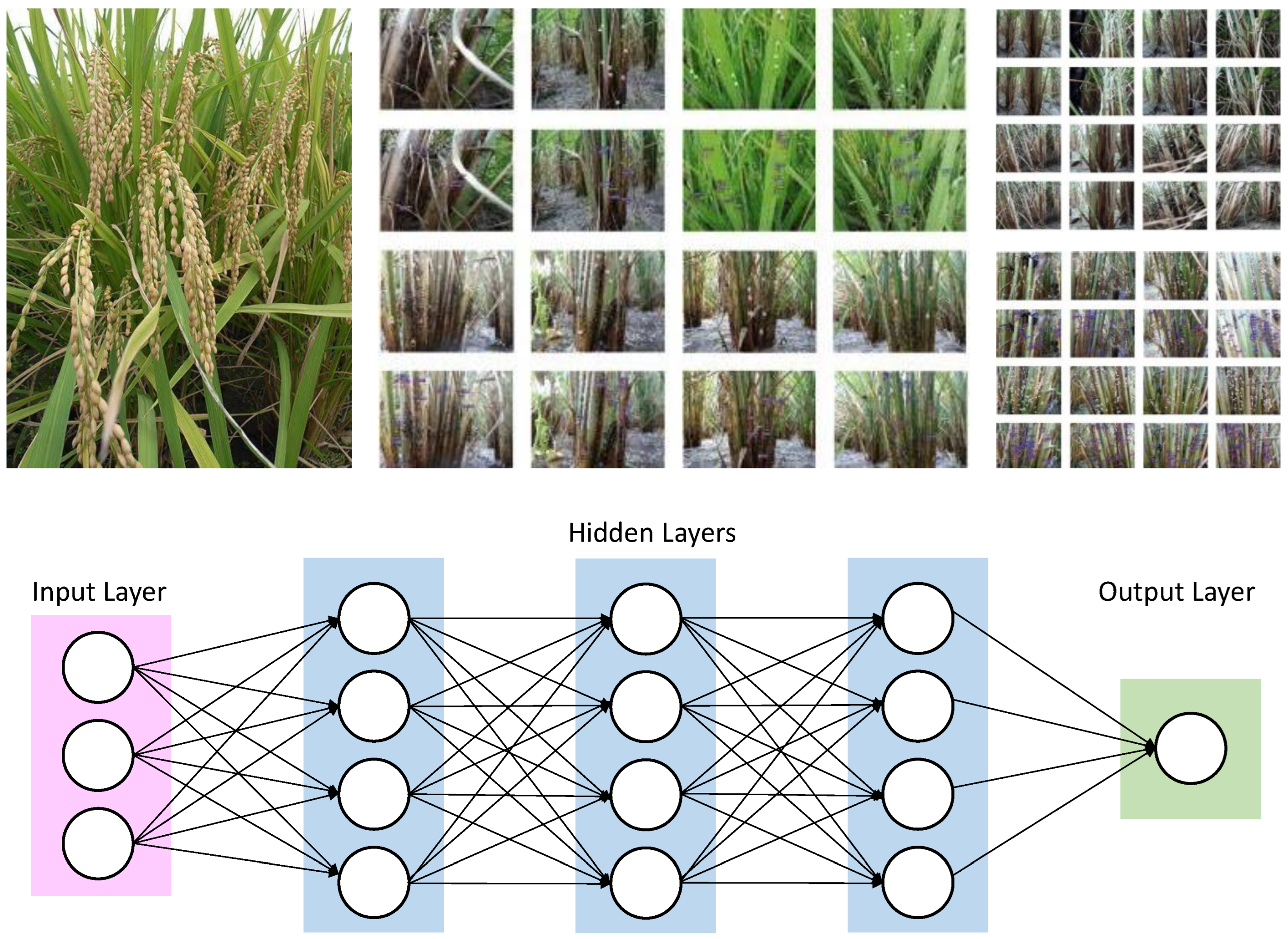 Sensors 22 08567 g009