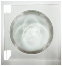 Sensors 22 08575 i001