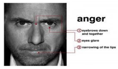 Sensors 22 08704 i002