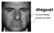 Sensors 22 08704 i003