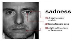 Sensors 22 08704 i004