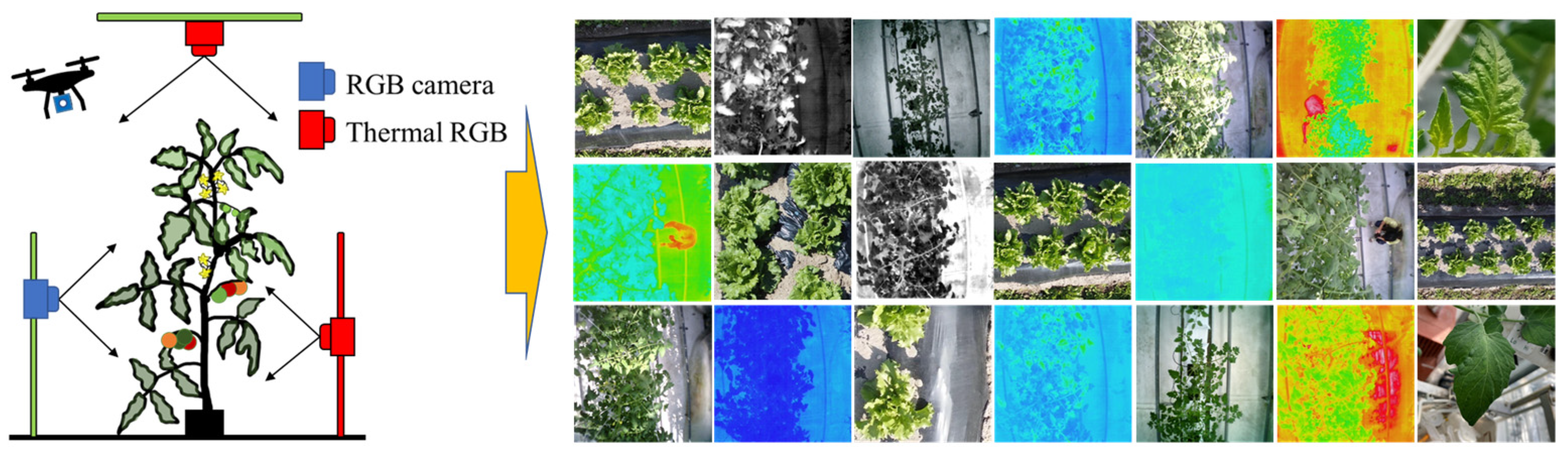 Sensors 22 08807 g001