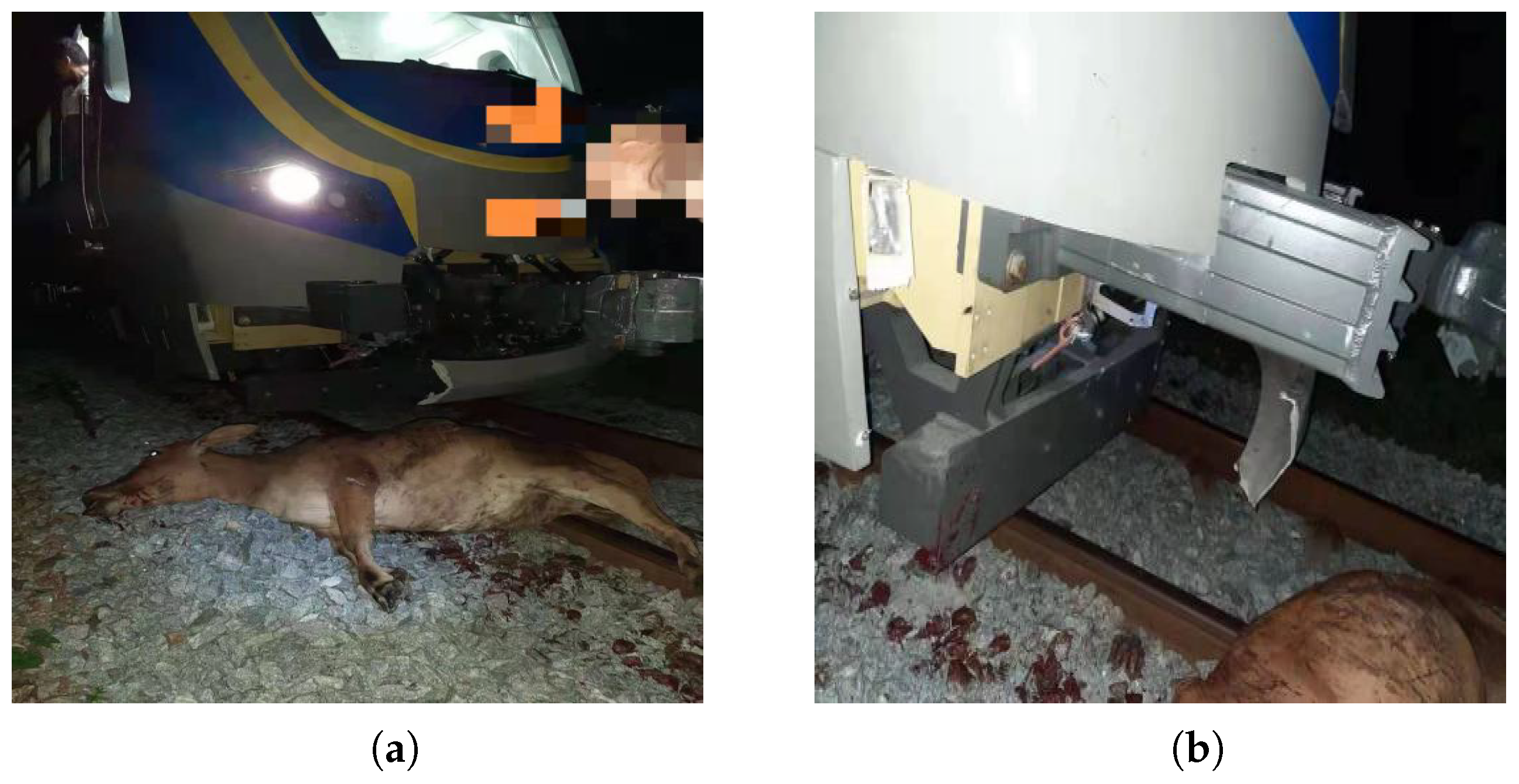 Sensors 22 08824 g001