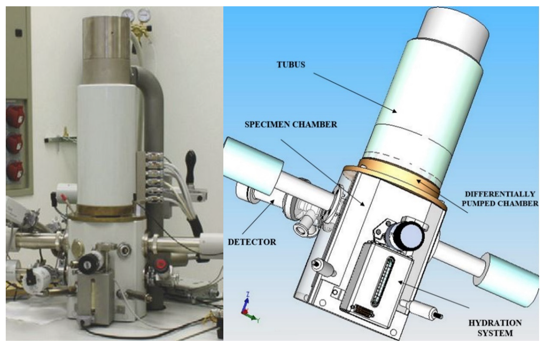 Sensors 22 09033 g001 Sensors 22 09033 g001