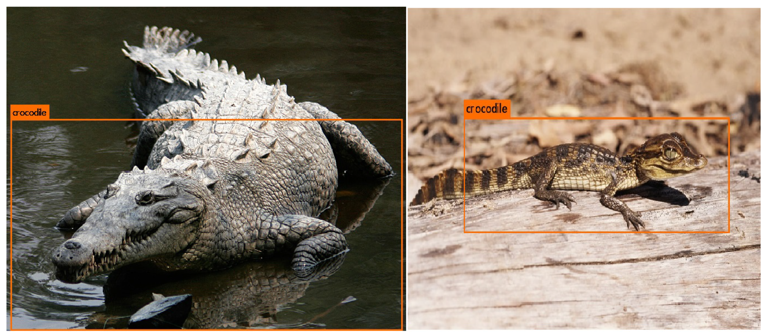 Sensors 22 09080 g015 Sensors 22 09080 g015