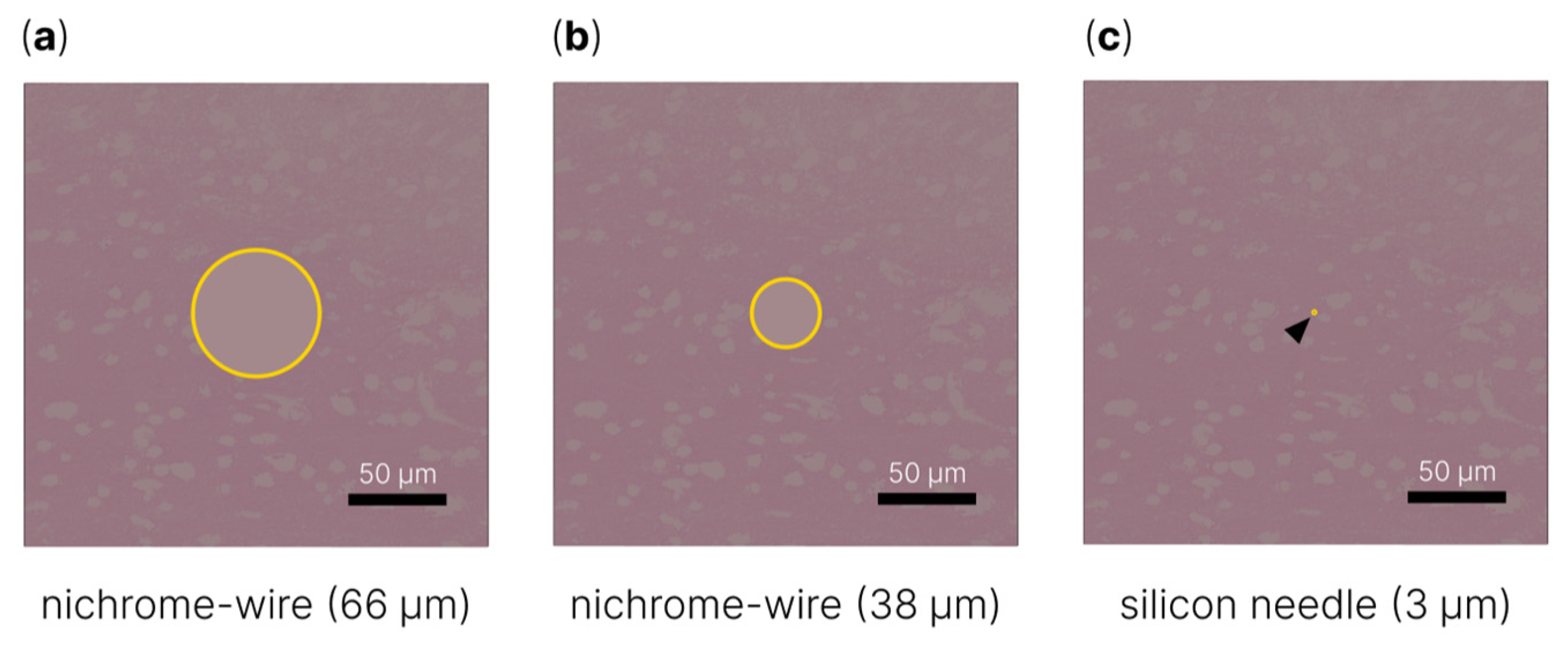 Sensors 22 09085 g002