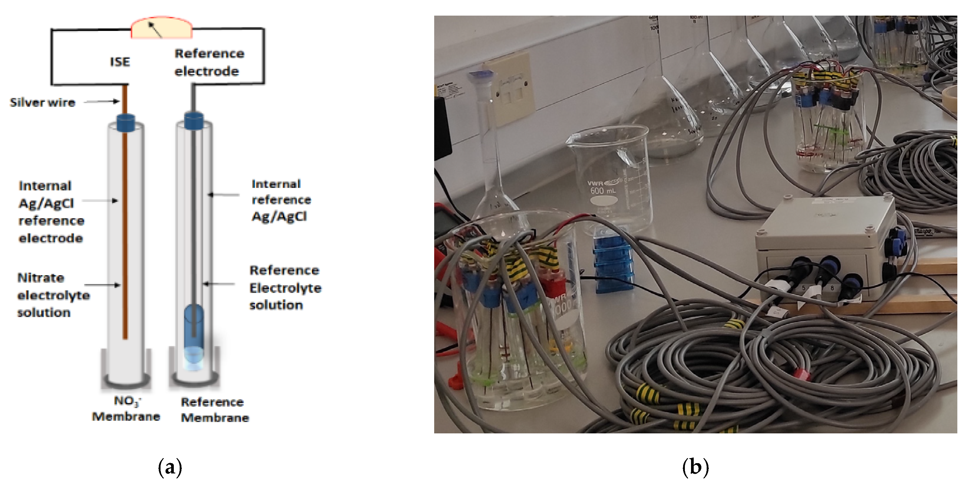 Sensors 22 09100 g001