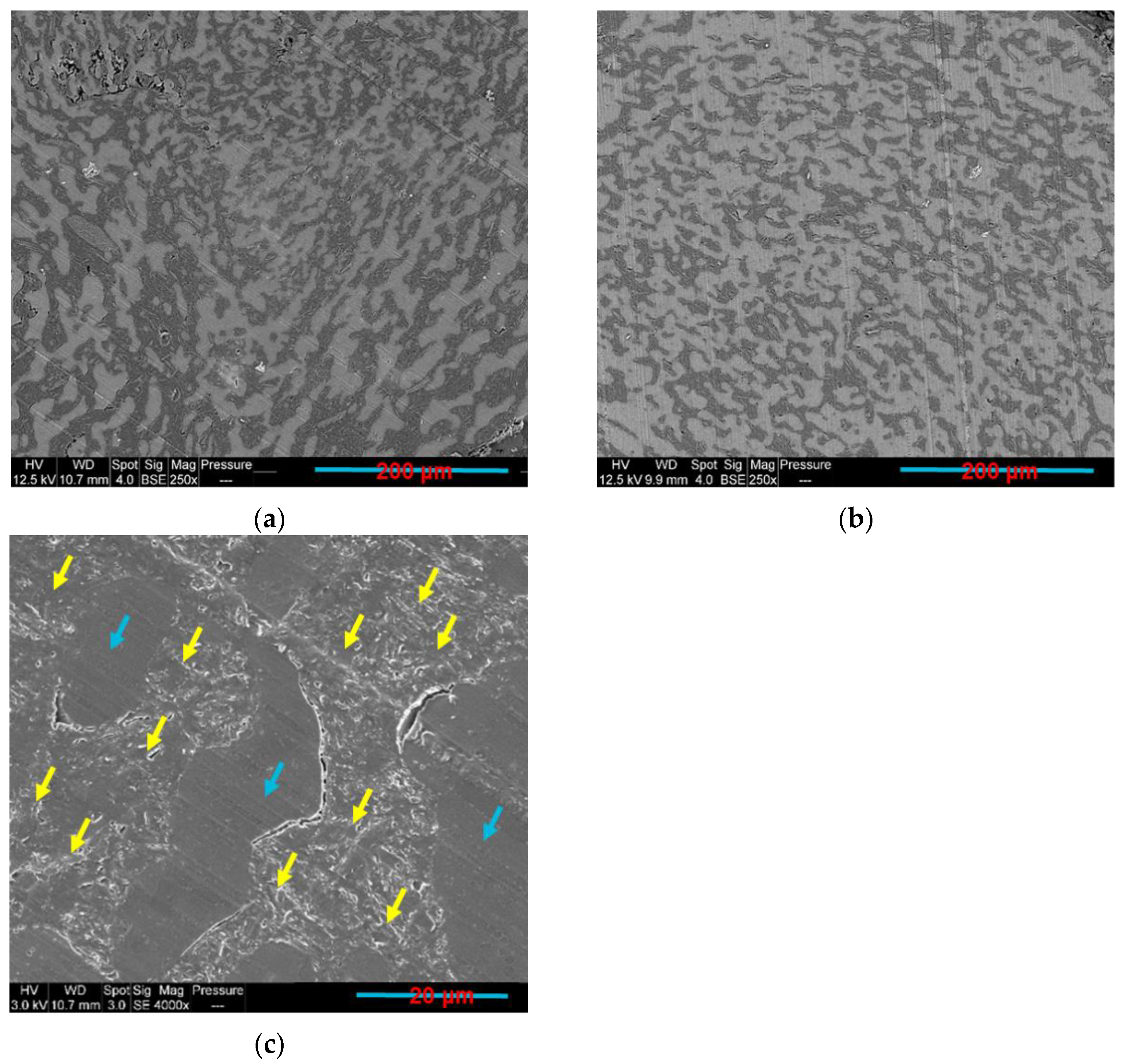 Sensors 22 09231 g011