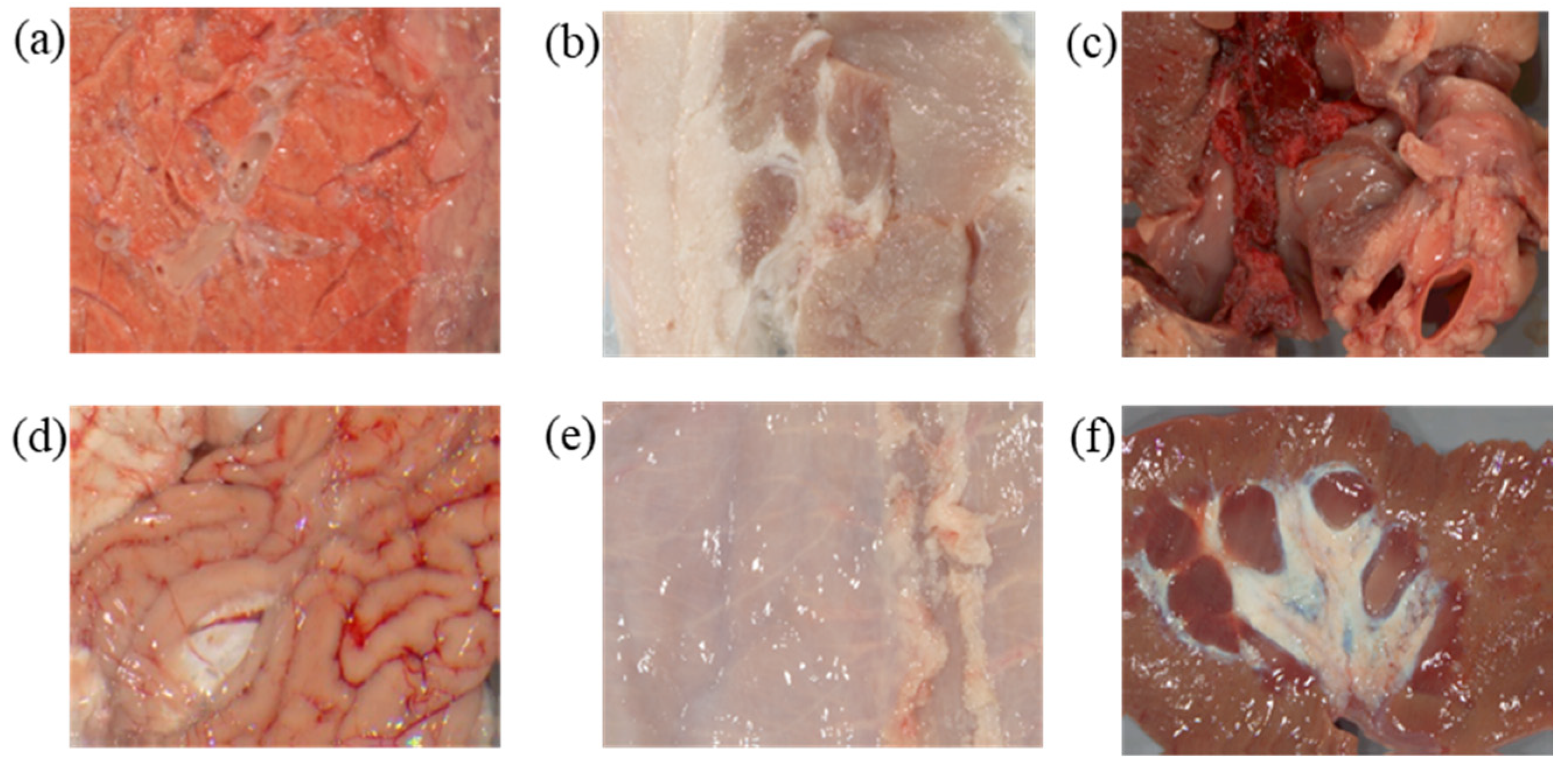 Sensors 22 09405 g003 Sensors 22 09405 g003