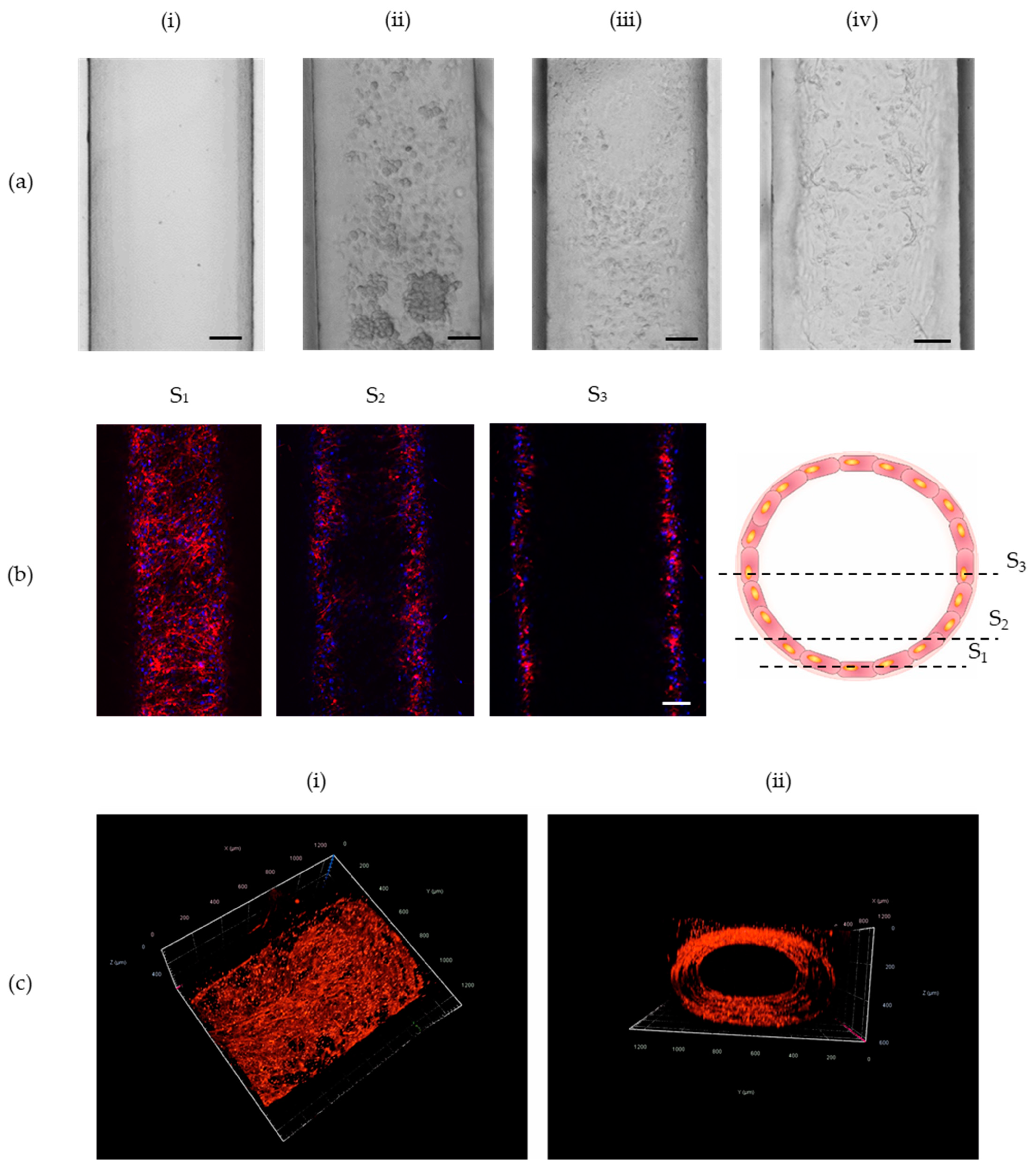 Sensors 22 09414 g003
