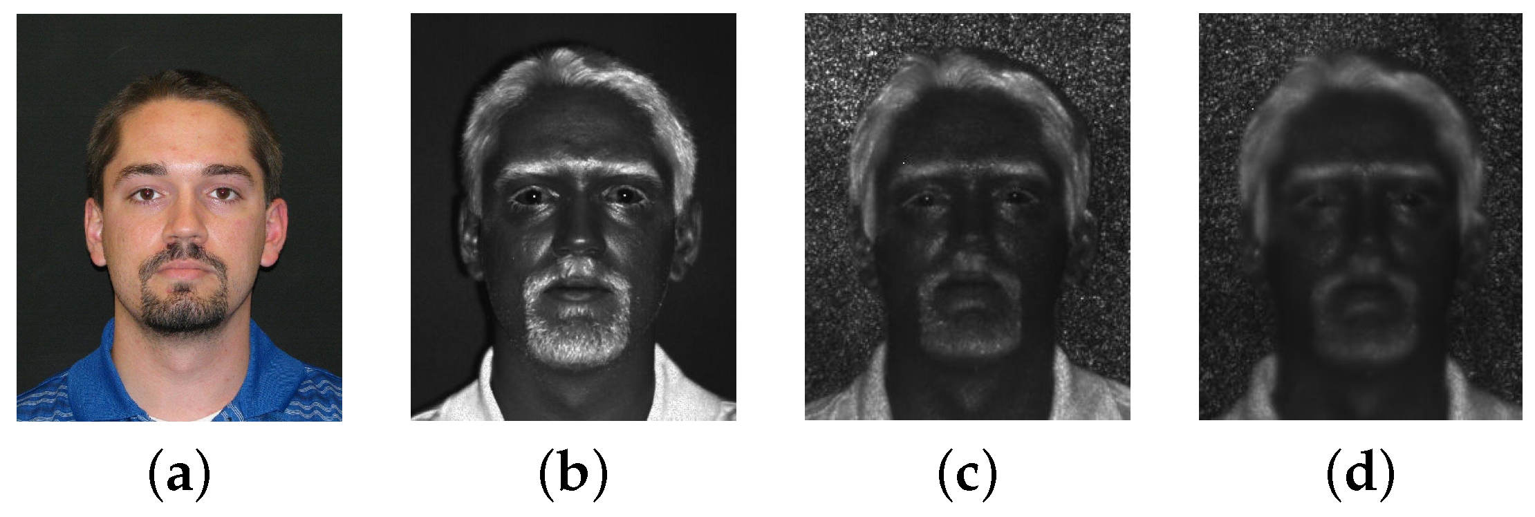 Sensors 22 09500 g007 Sensors 22 09500 g007