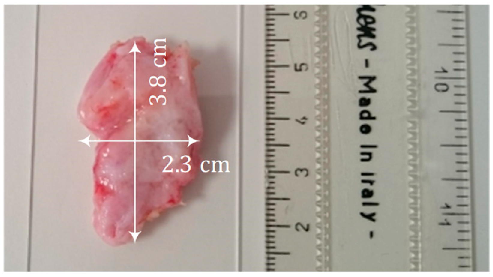 Sensors 22 09527 g005