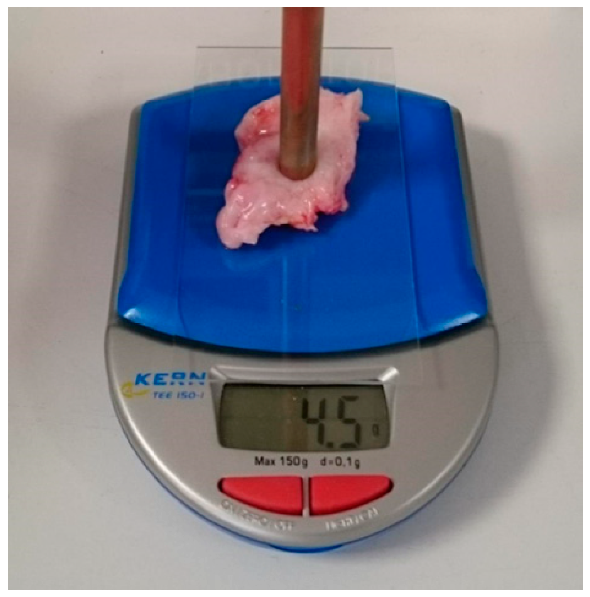 Sensors 22 09527 g007