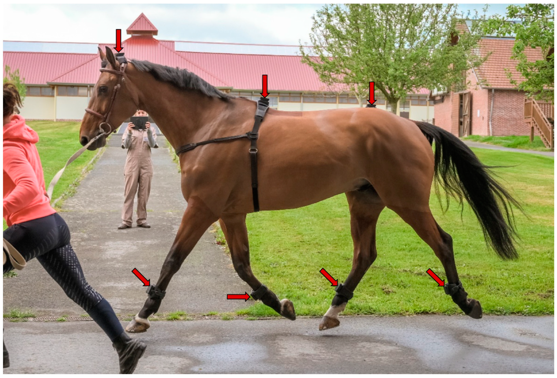 Sensors 22 09533 g001