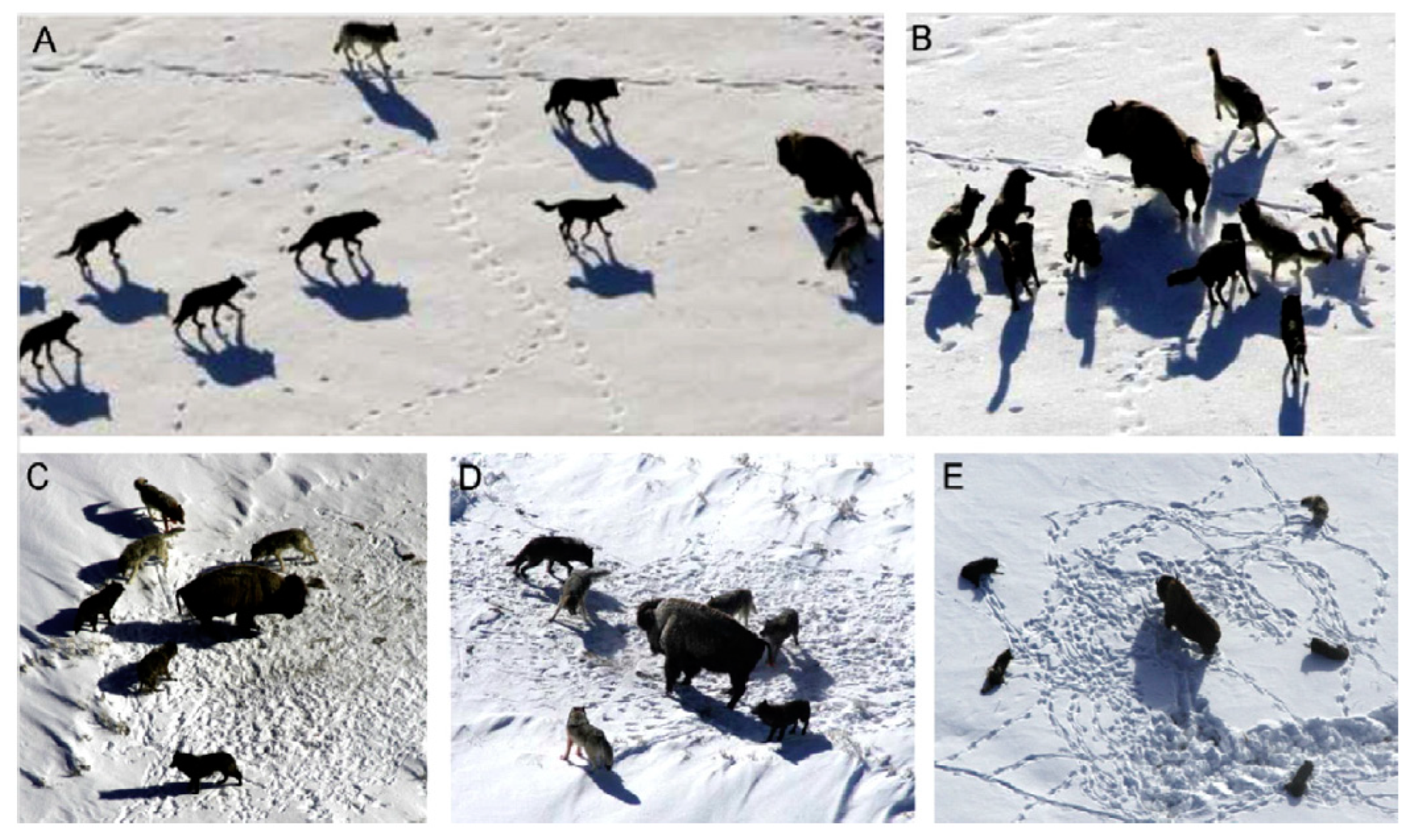 Sensors 22 09603 g003