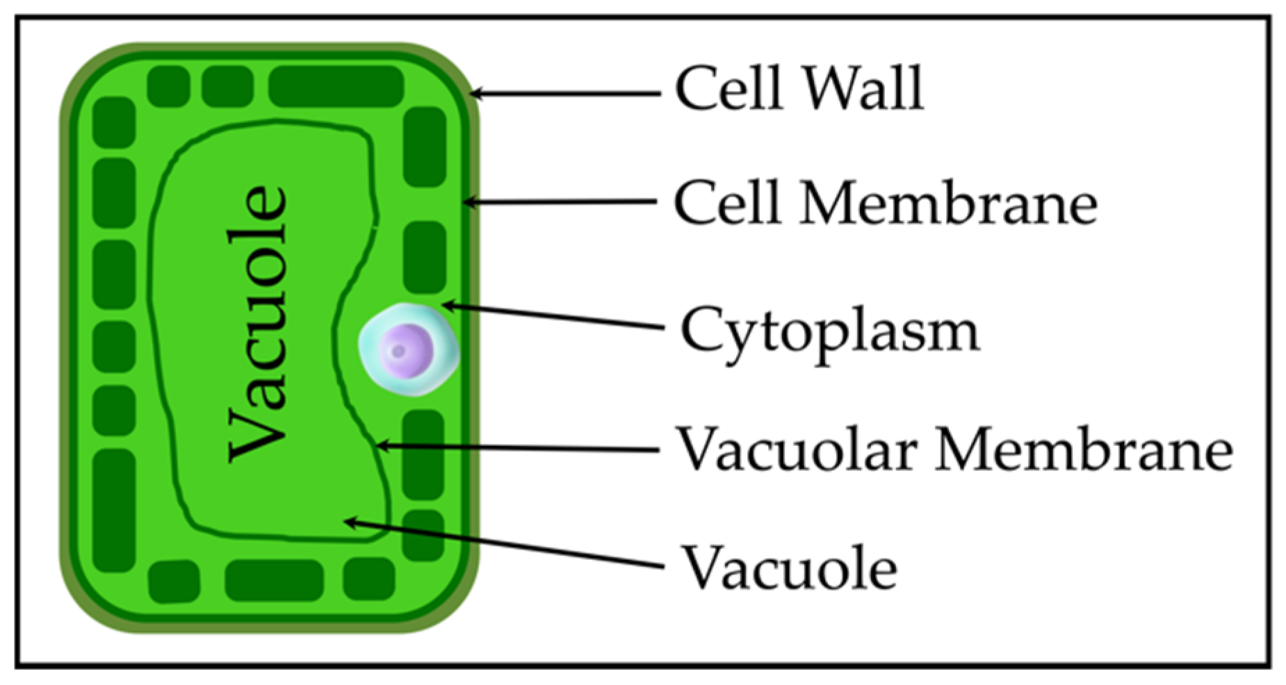 Sensors 22 09671 g002