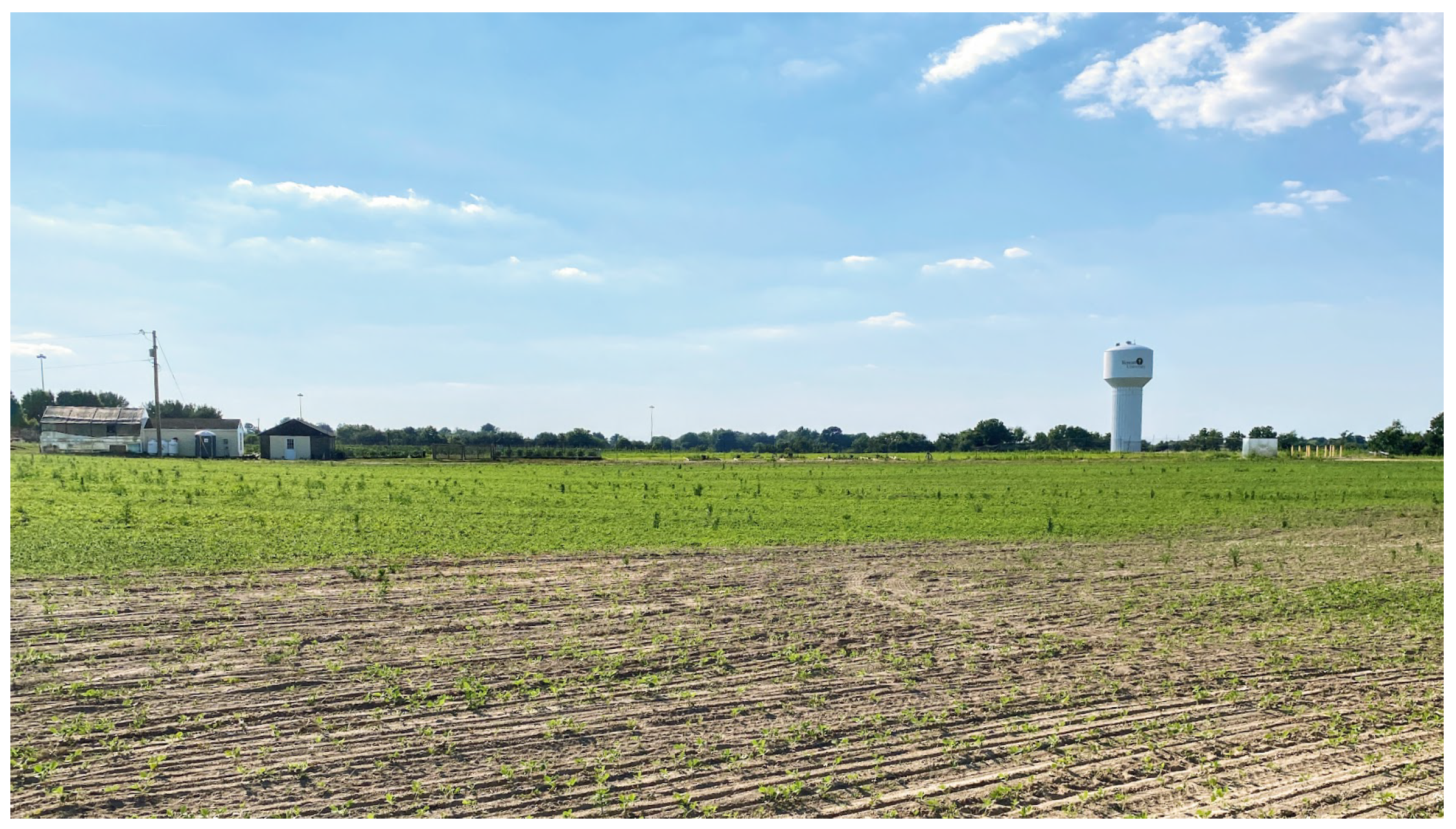 Sensors 22 09723 g004