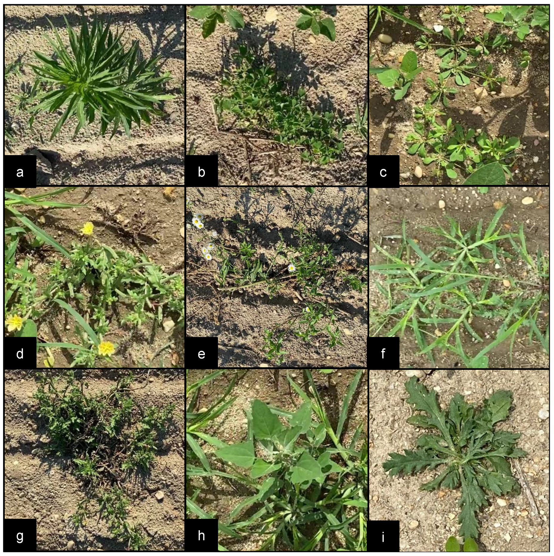 Sensors 22 09723 g005