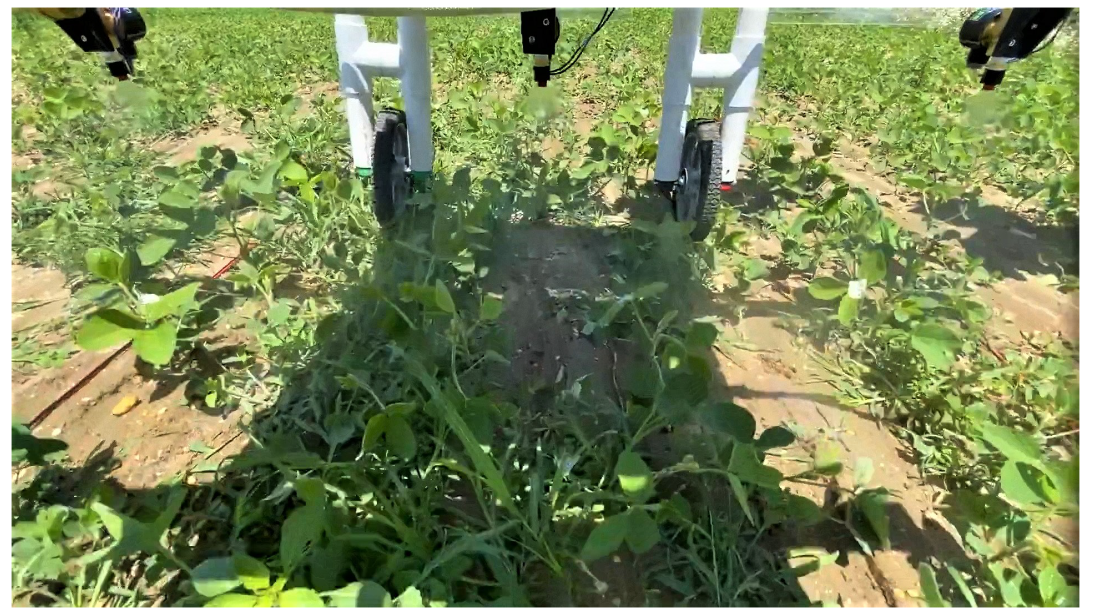 Sensors 22 09723 g007