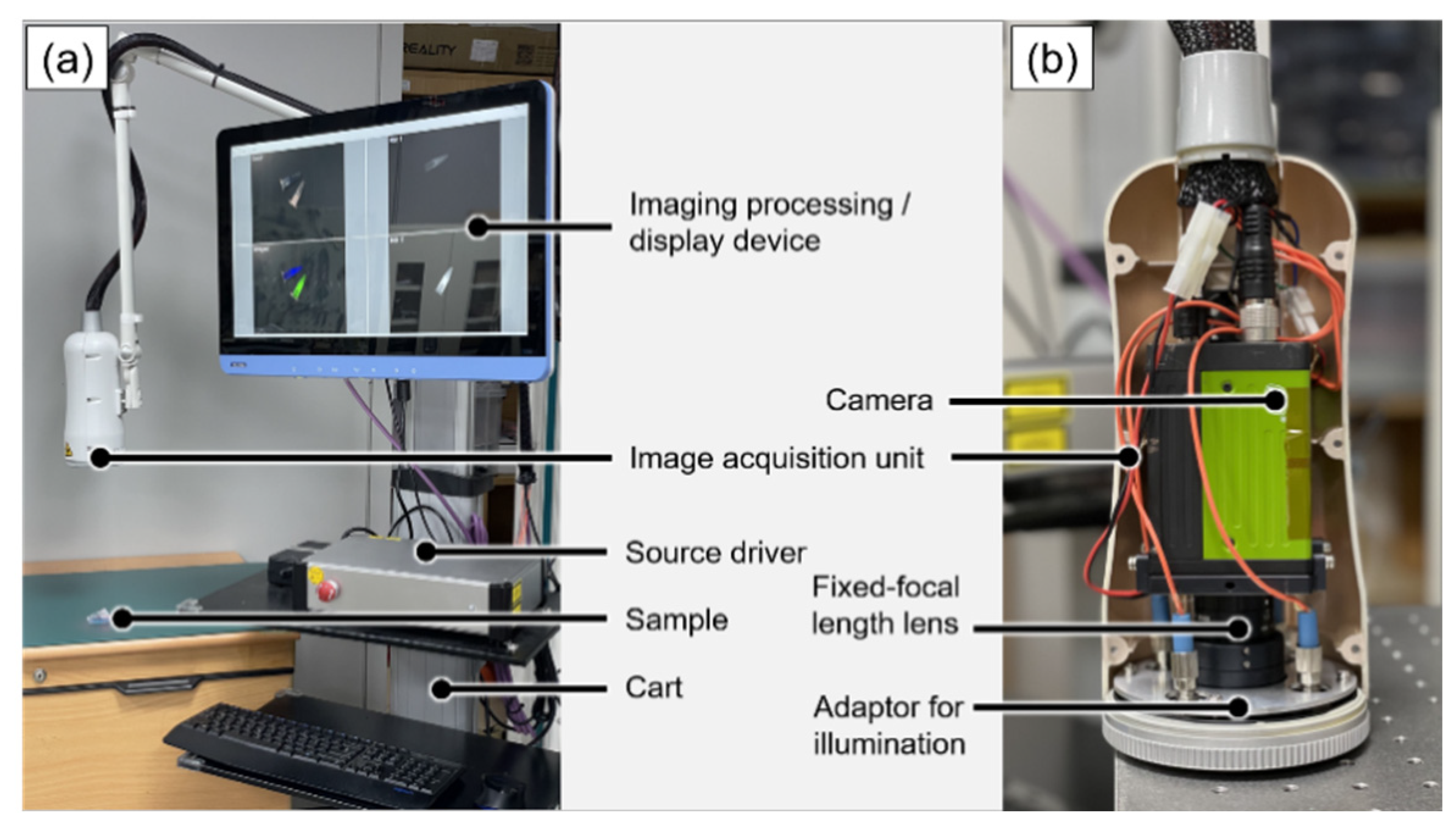 Sensors 22 09758 g001