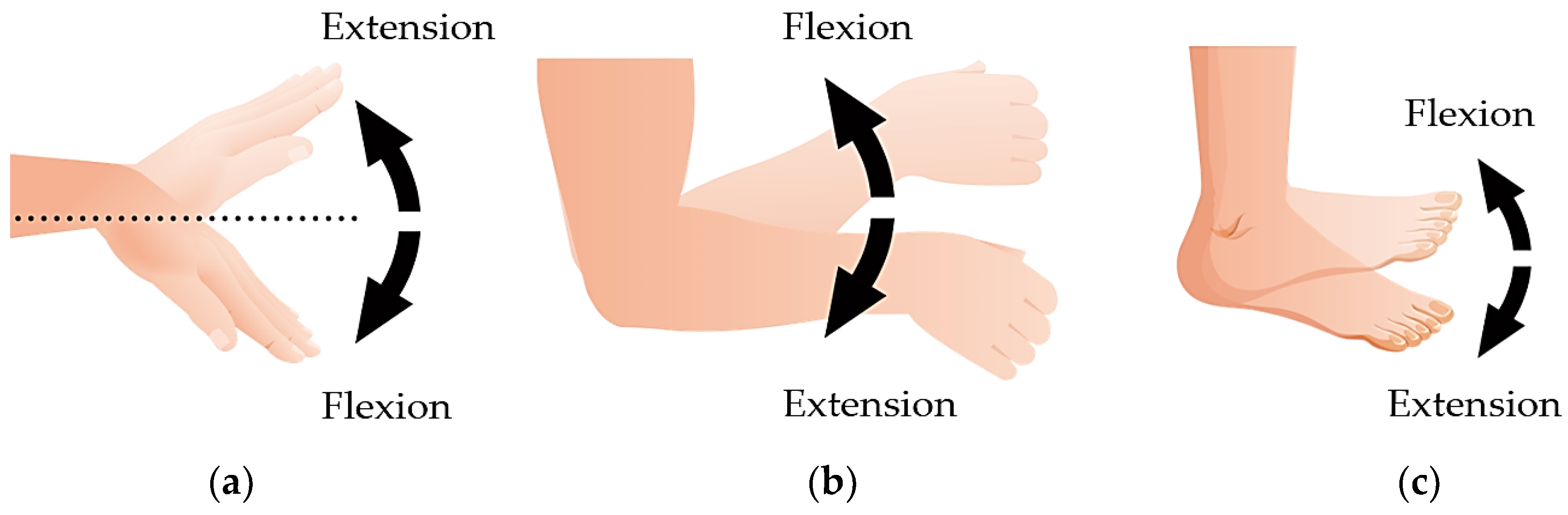 Sensors 22 09788 g002