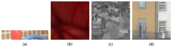 Sensors 22 09793 g005