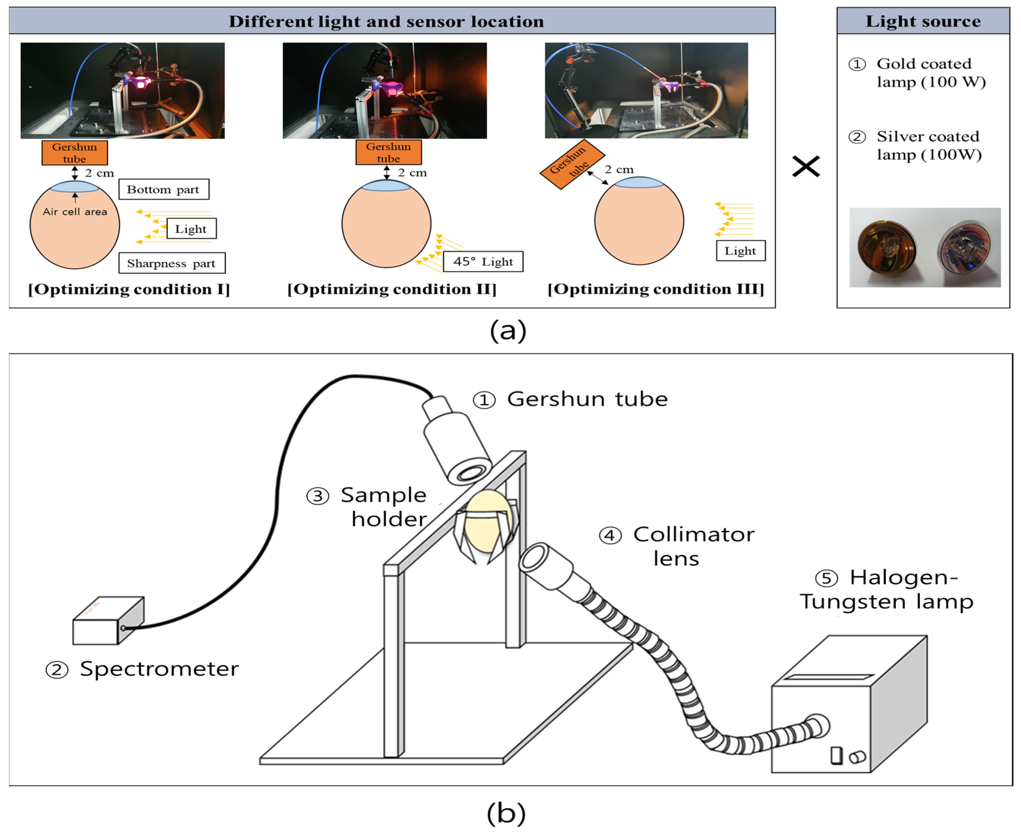 Sensors 22 09826 g004