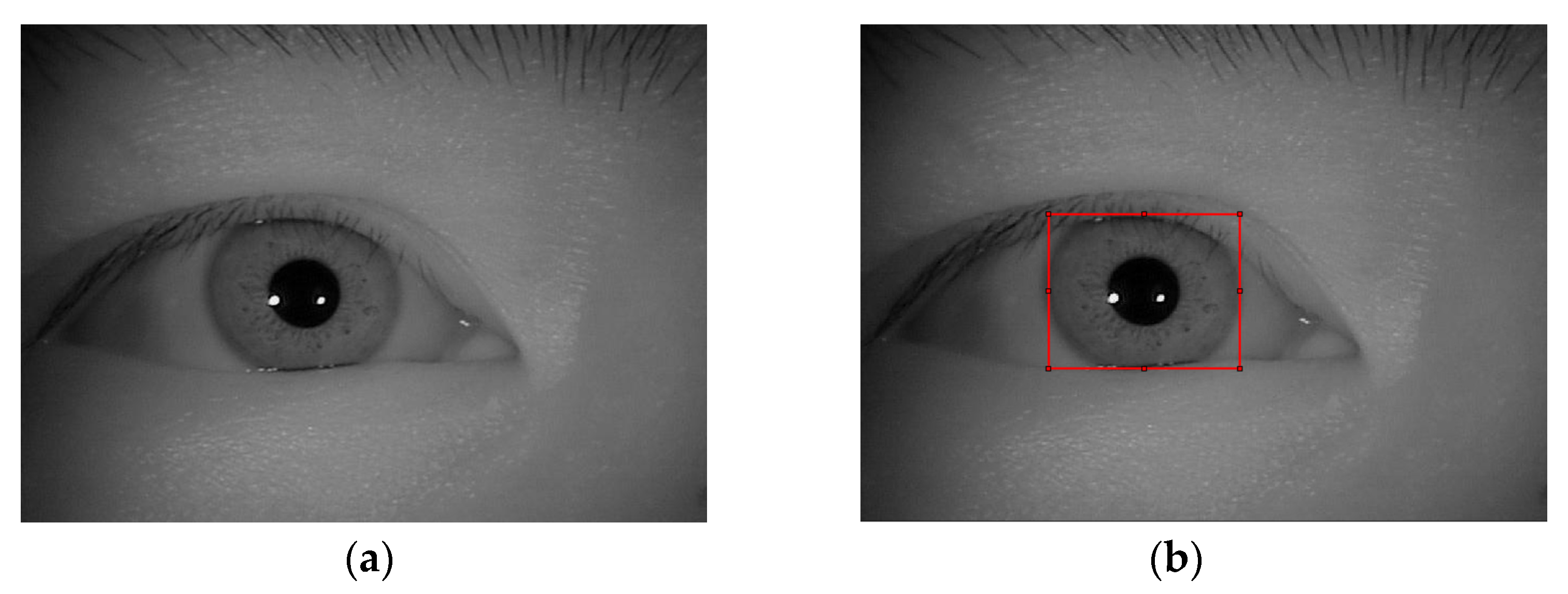 Sensors 22 09913 g003a