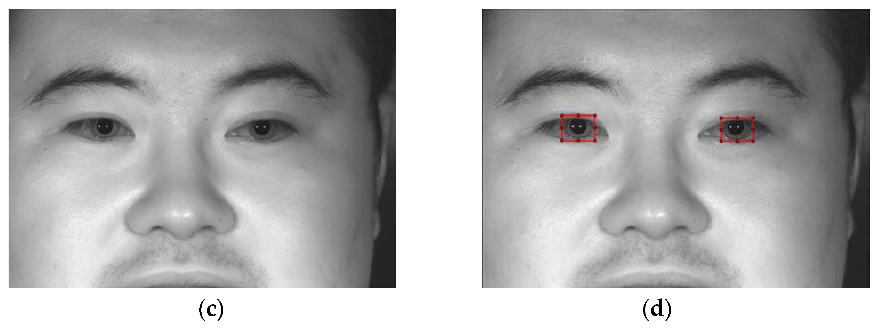 Sensors 22 09913 g003b