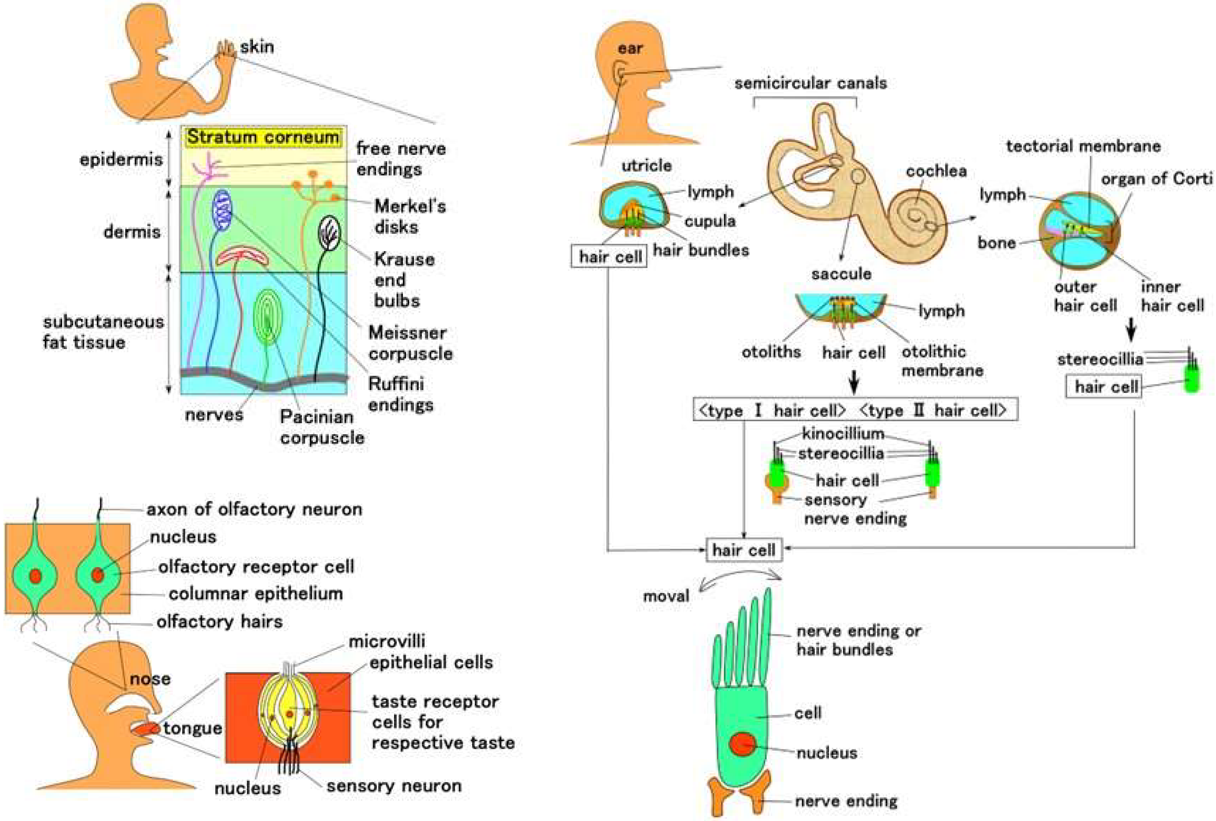 Sensors 22 09952 g001