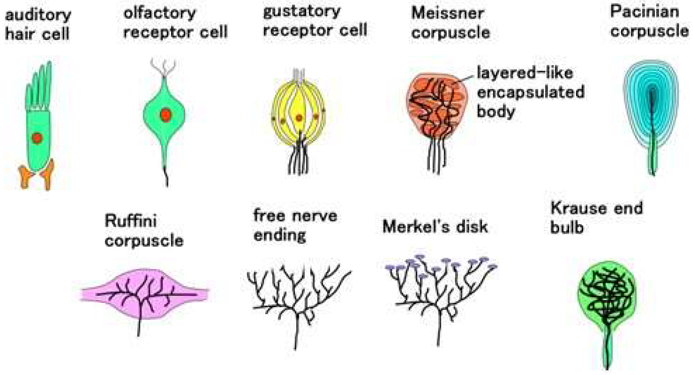 Sensors 22 09952 g002