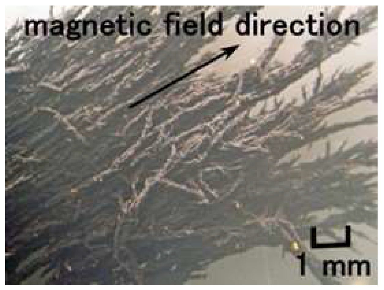 Sensors 22 09952 g003