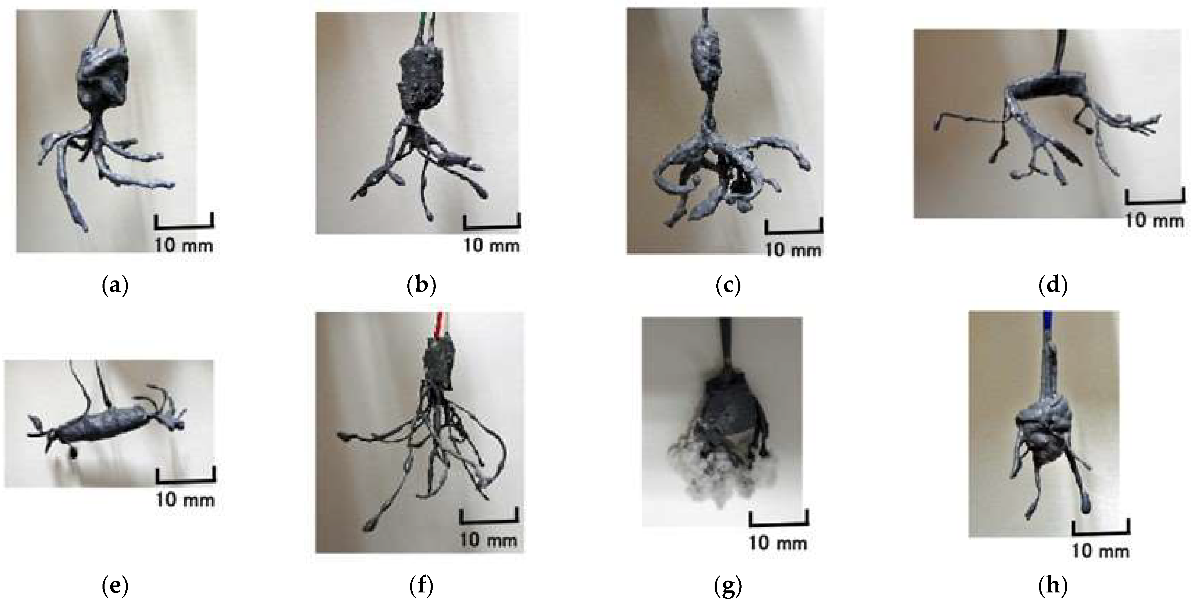 Sensors 22 09952 g006