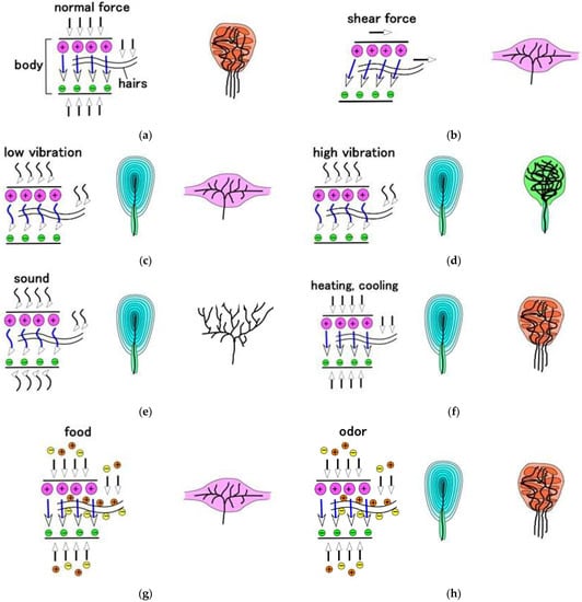 Sensors 22 09952 g0a3