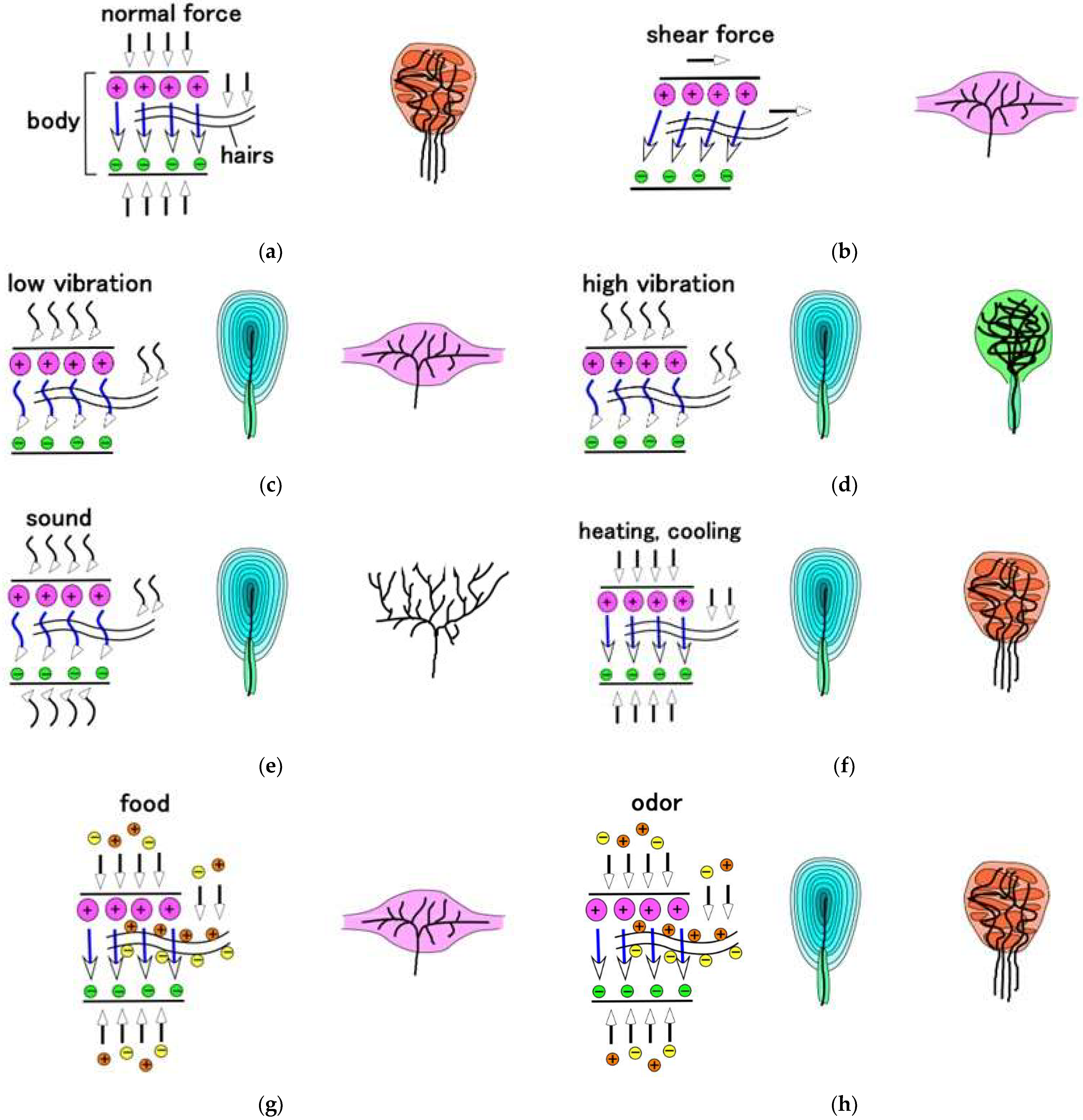 Sensors 22 09952 g0a3