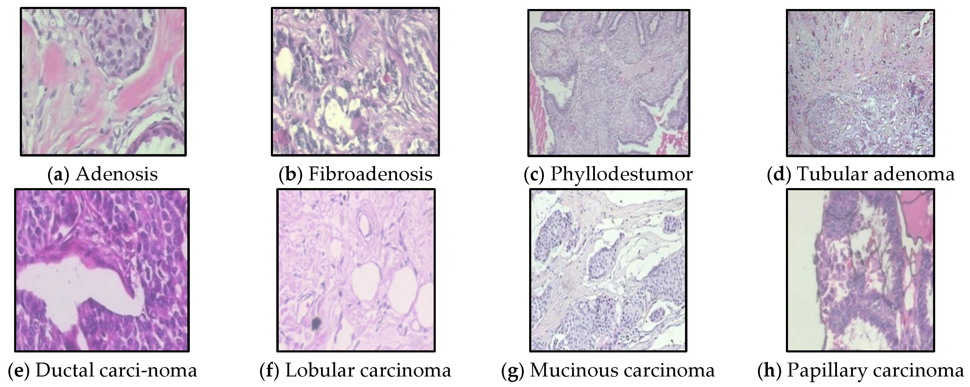 Sensors 22 09967 g006