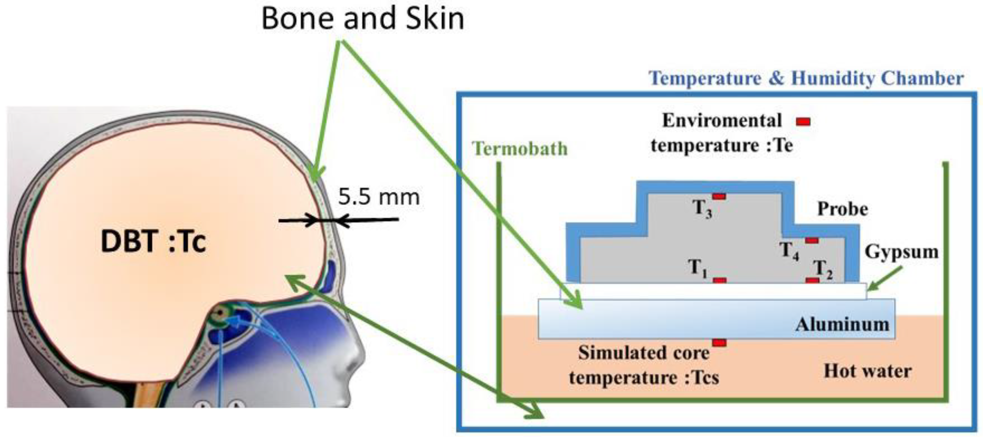 Sensors 22 09985 g005