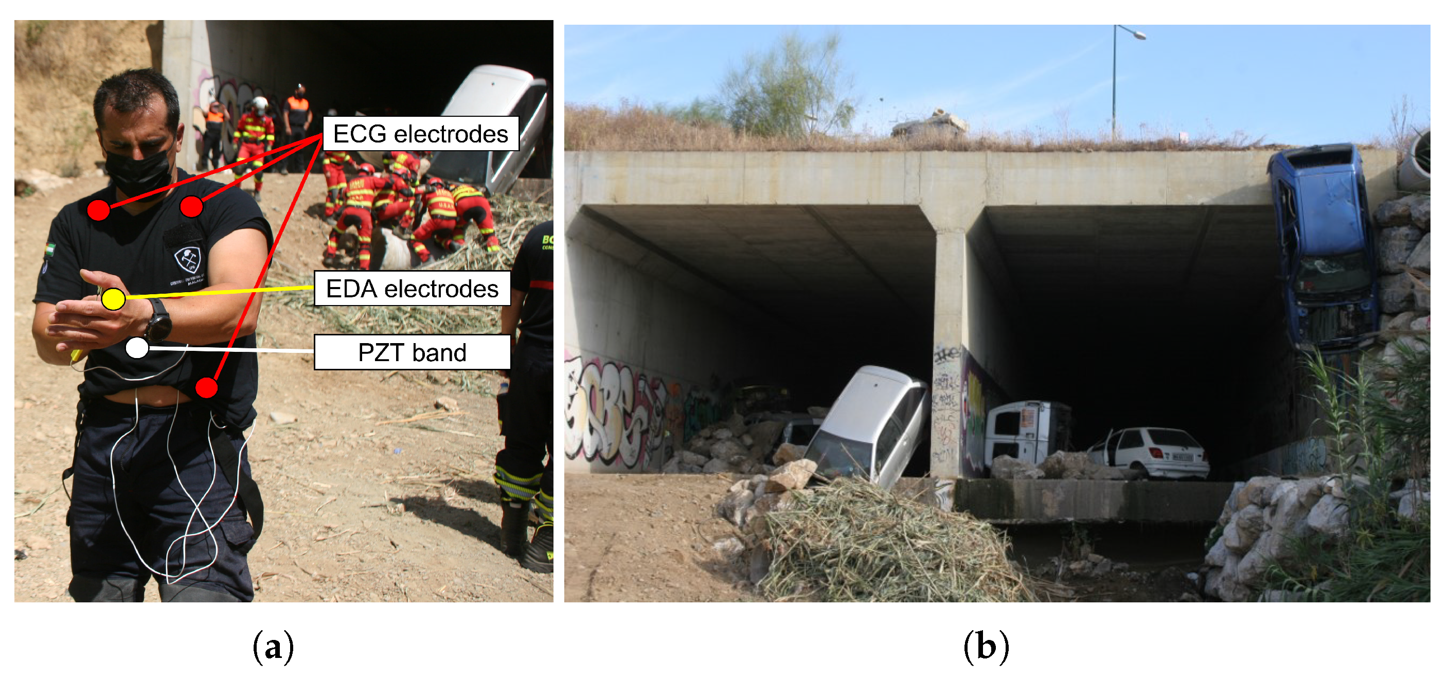 Sensors 23 00049 g008 Sensors 23 00049 g008