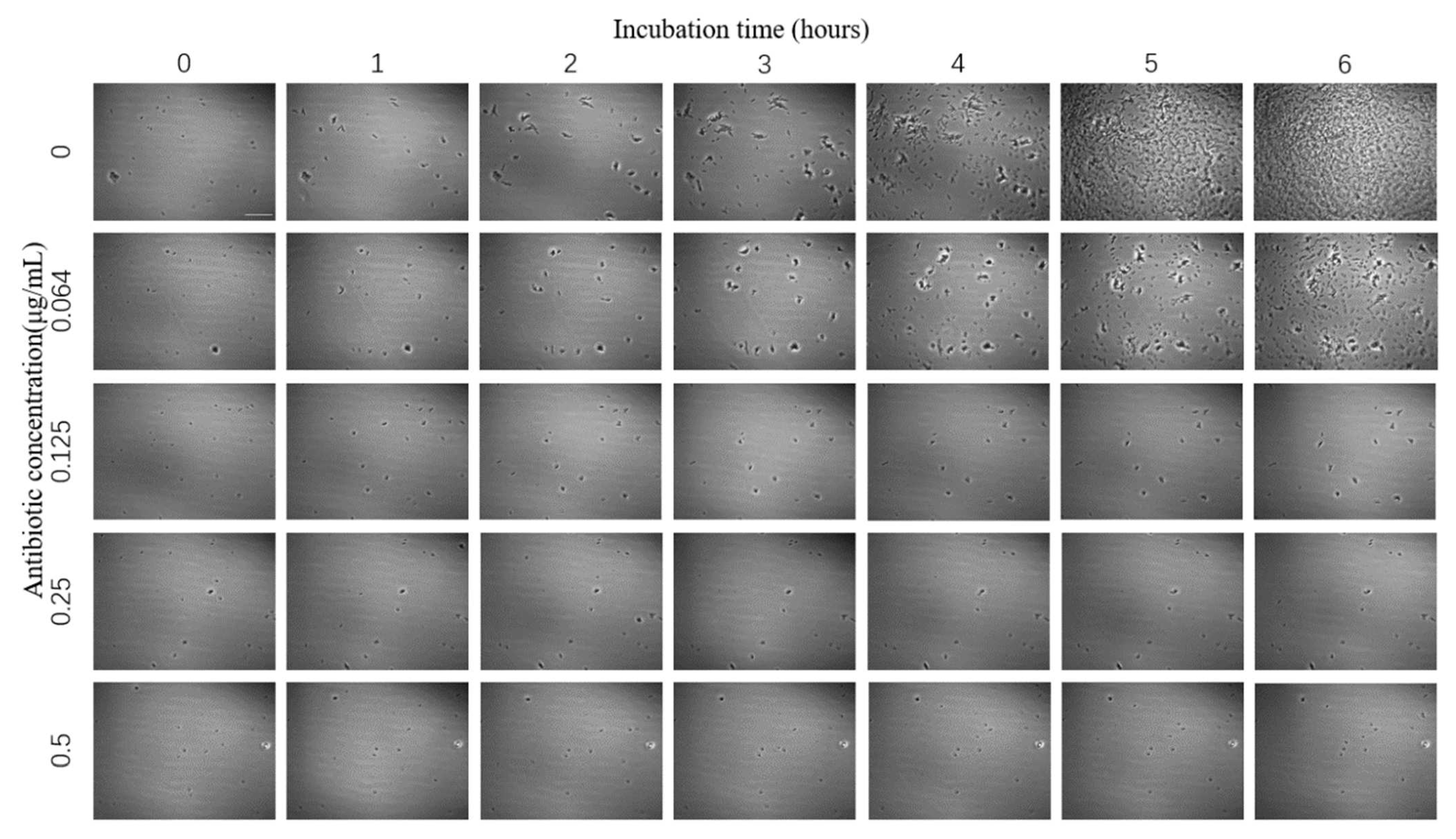 Sensors 23 00059 g004