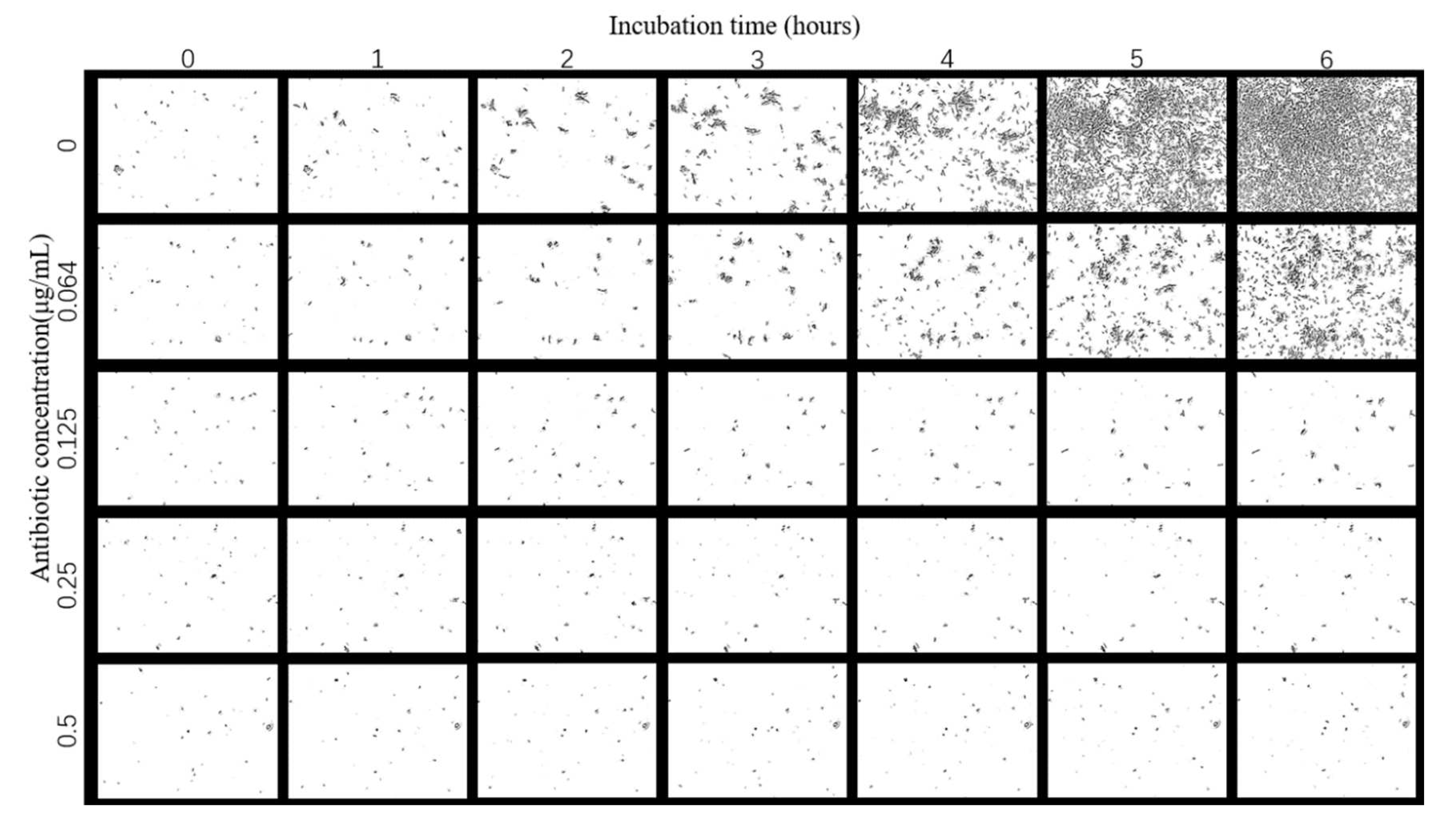 Sensors 23 00059 g005