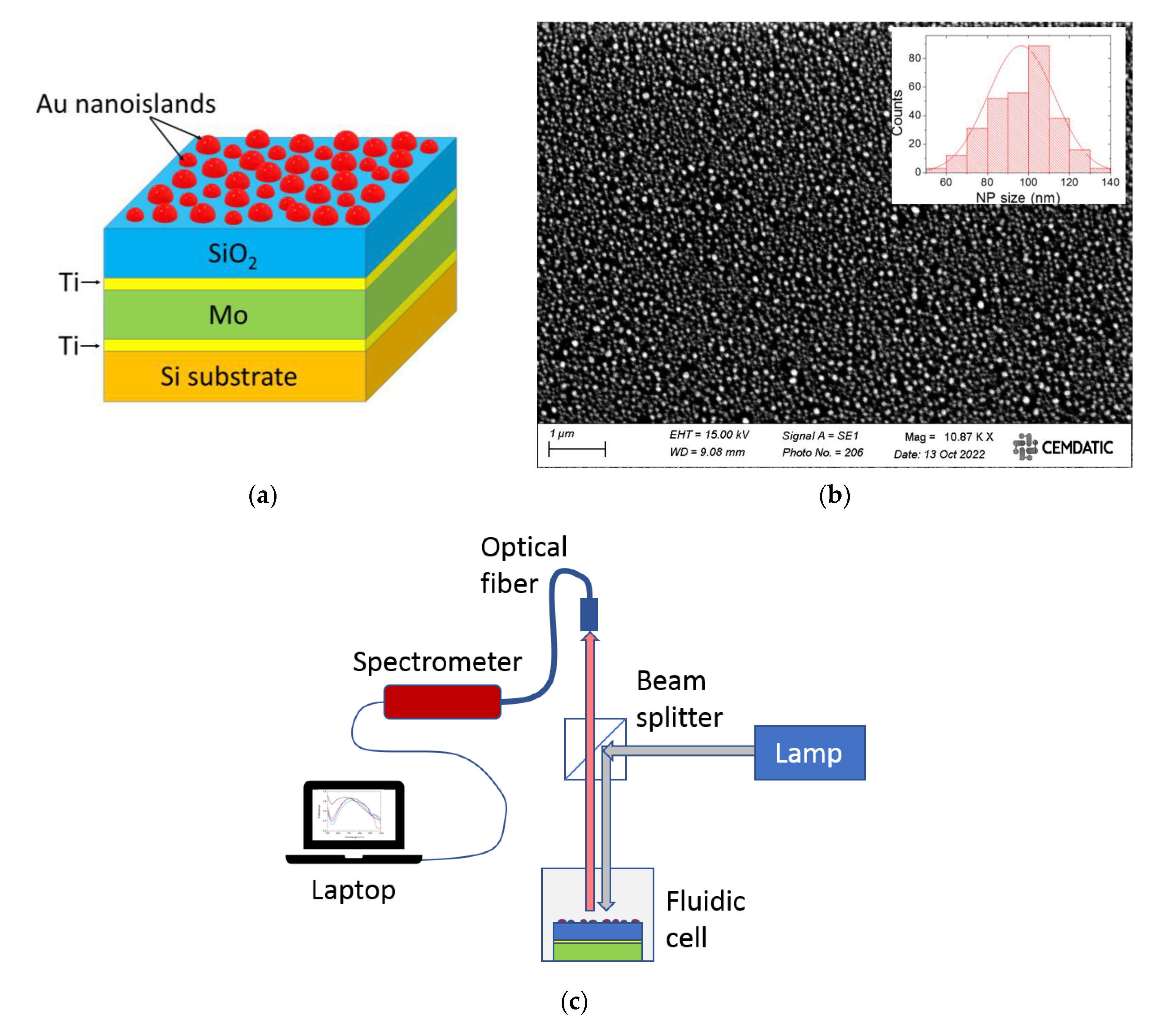 Sensors 23 00066 g001
