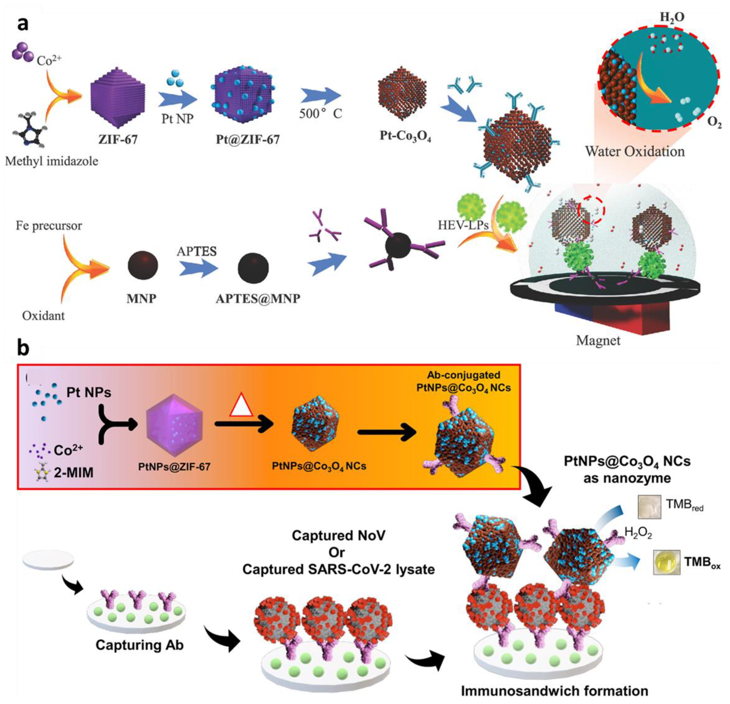 Sensors 23 00160 g009